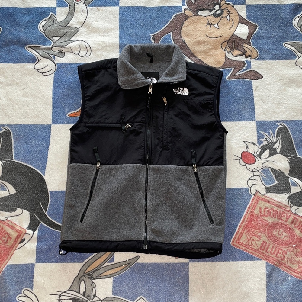 Vintage north face Denali fleece vest